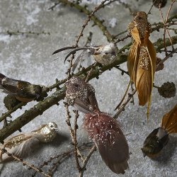 Speedtsberg - Fugl med klips 17cm - fjer,  st af  3stk.