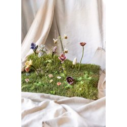 Gry &amp; Sif - Blomsterstilk Anemone Dusty Rose - filt