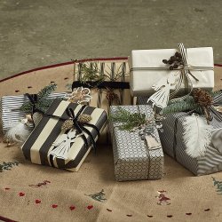 Speedtsberg - Fjer med diamant  til ophng 8x20cm fjer