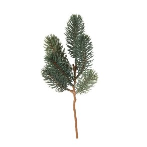 Speedtsberg - Grangren 25 cm