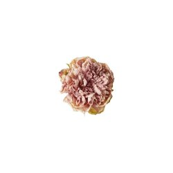 Speedtsberg - Pon blomster hoved diameter - 15cm