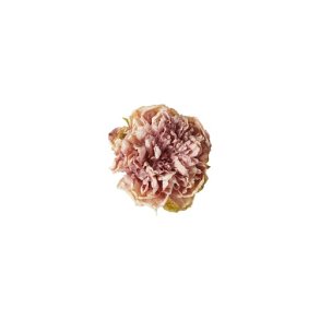 Speedtsberg - Pon blomster hoved diameter - 15cm