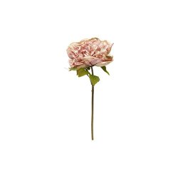 Speedtsberg - Pon stilk  30cm