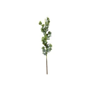 Speedtsberg -Stilk  Eukalyptus  38cm