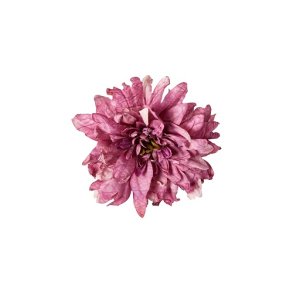 Speedtsberg - Georgine blomster hoved diameter (Purple) - 17cm