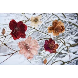 Speedtsberg - Magnolia med klips 10cm