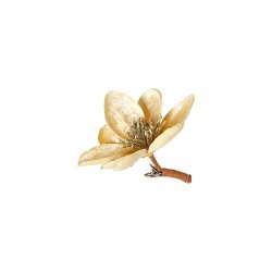 Speedtsberg - Magnolia med klips 10cm