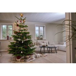  Speedtsberg - Julekugle fugl i bur D7x10 cm. glas