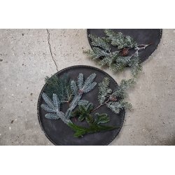 Speedtsberg - 2 stk grangrene 33 cm