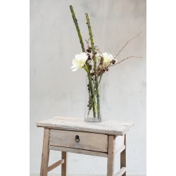 Speedtsberg - Amaryllis stilk 62cm
