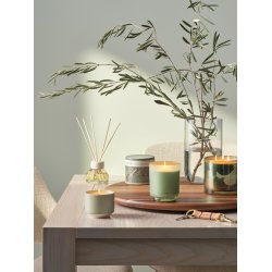 Bloomingville - Hinoki Sage Demi Vanity Tin Duftlys, Gr�n D6,5xH5,7 cm