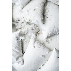 Ib Laursen - Pudefyld 50x50 cm andefjer+dun 550g