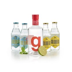 Gin &amp; Tonic - Kbenhavn Lounge 2025