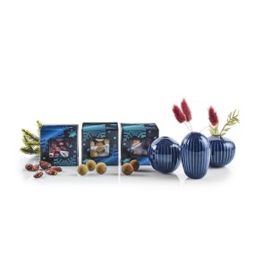  Minivaser & Sde sager - 2025