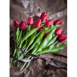 Bloomingville Tulip Buket,R�d, Kunstige Blomster D21x35 cm