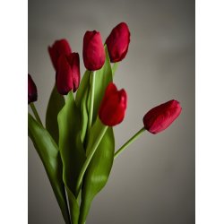 Bloomingville Tulip Buket,R�d, Kunstige Blomster D21x35 cm