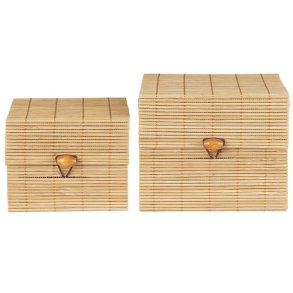 Ib Laursen skest a 2 kvadratisk bambus