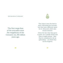 THE LITTLE BOOK OF AVOCADO - 192 sider