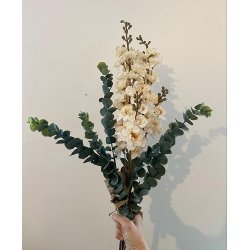 Blomsterbuket - Ridderspore