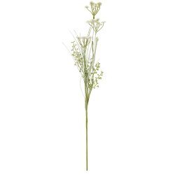 Ib Laursen -Blomst hvide og grnne nuancer