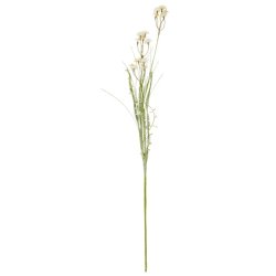 Ib Laursen - Blomst hvide og orange knopper