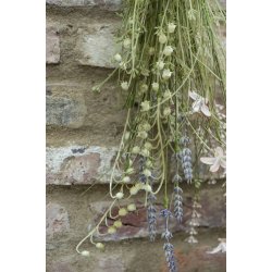 Ib Laursen Blomst rosa nuancer