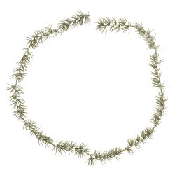 Ib Laursen Cederranke kunstig 150 cm.