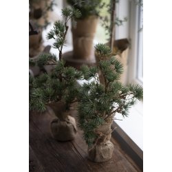 Ib Laursen Cedertr m/jutefod 34cm.