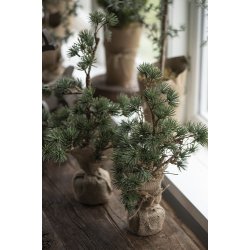 Ib Laursen Cedertr m/jutefod 34cm.