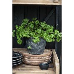 Ib Laursen Fad/tallerken akacietr 25 cm 