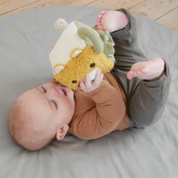 Franck Fischer - Fred aktivitetsterning