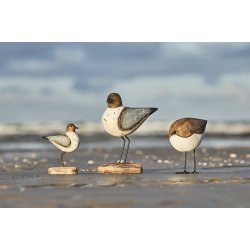 Ib Laursen Fugl p fod stvbl vinger Nautico