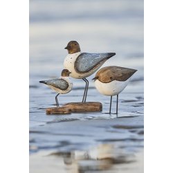 Ib Laursen Fugl p fod stvbl vinger Nautico