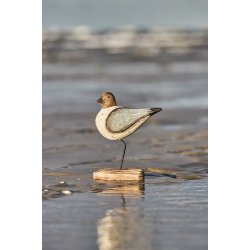 Ib Laursen Fugl p fod stvbl vinger Nautico