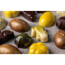 Xocolatl -  GOLDEN EGGS SPRING 9