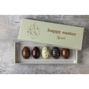  Xocolatl - GOLDEN MARZIPAN 5