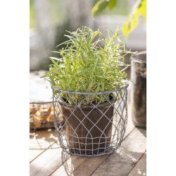 Ib Laursen Skjulerst a 2 i trd