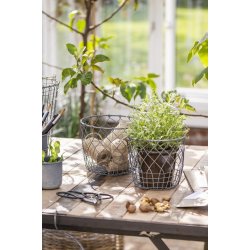 Ib Laursen Skjulerst a 2 i trd