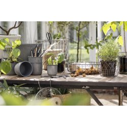 Ib Laursen Skjulerst a 2 i trd