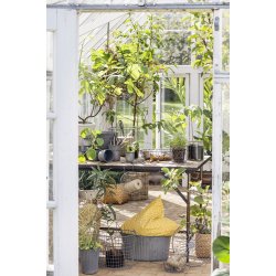 Ib Laursen Skjulerst a 2 i trd