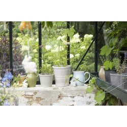 Ib Laursen Kanin 6 ass (1 stk)