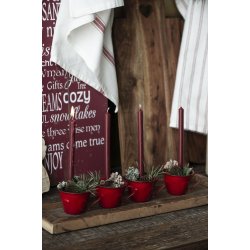 Ib Laursen Kertelys rhododendron :1,3 H:20 - 8 stk.