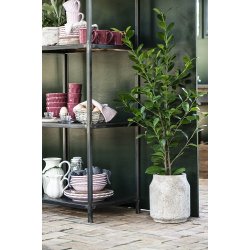 Ib Laursen Krus med riller Mynte English Rose