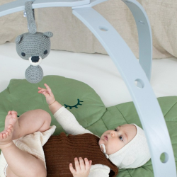 Franck Fischer - Lauge gr aktivitetslegetj 