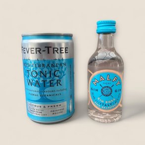 Fin lille gingave med 5 cl. MALFY GIN og tonic