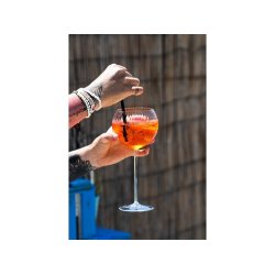 Anna von Lipa Lyon rdvinsglas ,Krystal, 1 stk. 