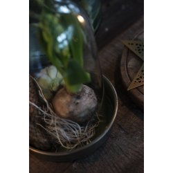 Ib Laursen Lysbakke olivengrn indvendig Diameter  14,3