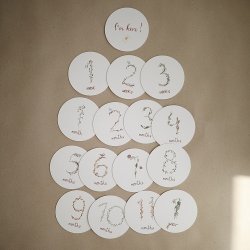 Mushie Milestone Cards