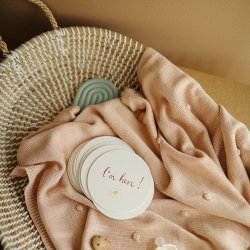 Mushie Milestone Cards