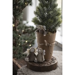 Ib Laursen Mini grantr i potte 42 cm.